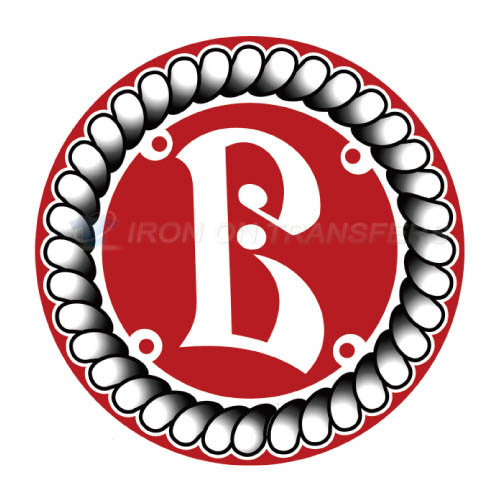 HC Vityaz Iron-on Stickers (Heat Transfers)NO.7251